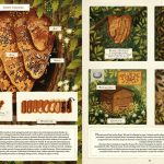 Co budują zwierzęta Wyspa Kobiet