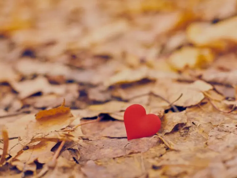 test limerencji wyspa kobiet