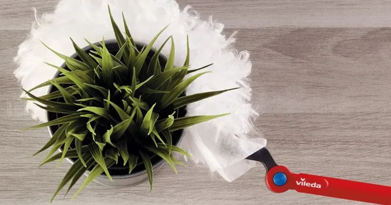 Flex & Catch wyspa kobiet