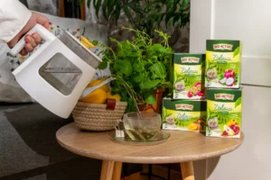 herbaty Big-Active wyspa kobiet