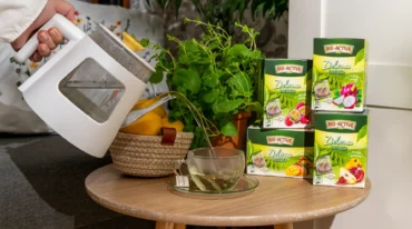 herbaty Big-Active wyspa kobiet